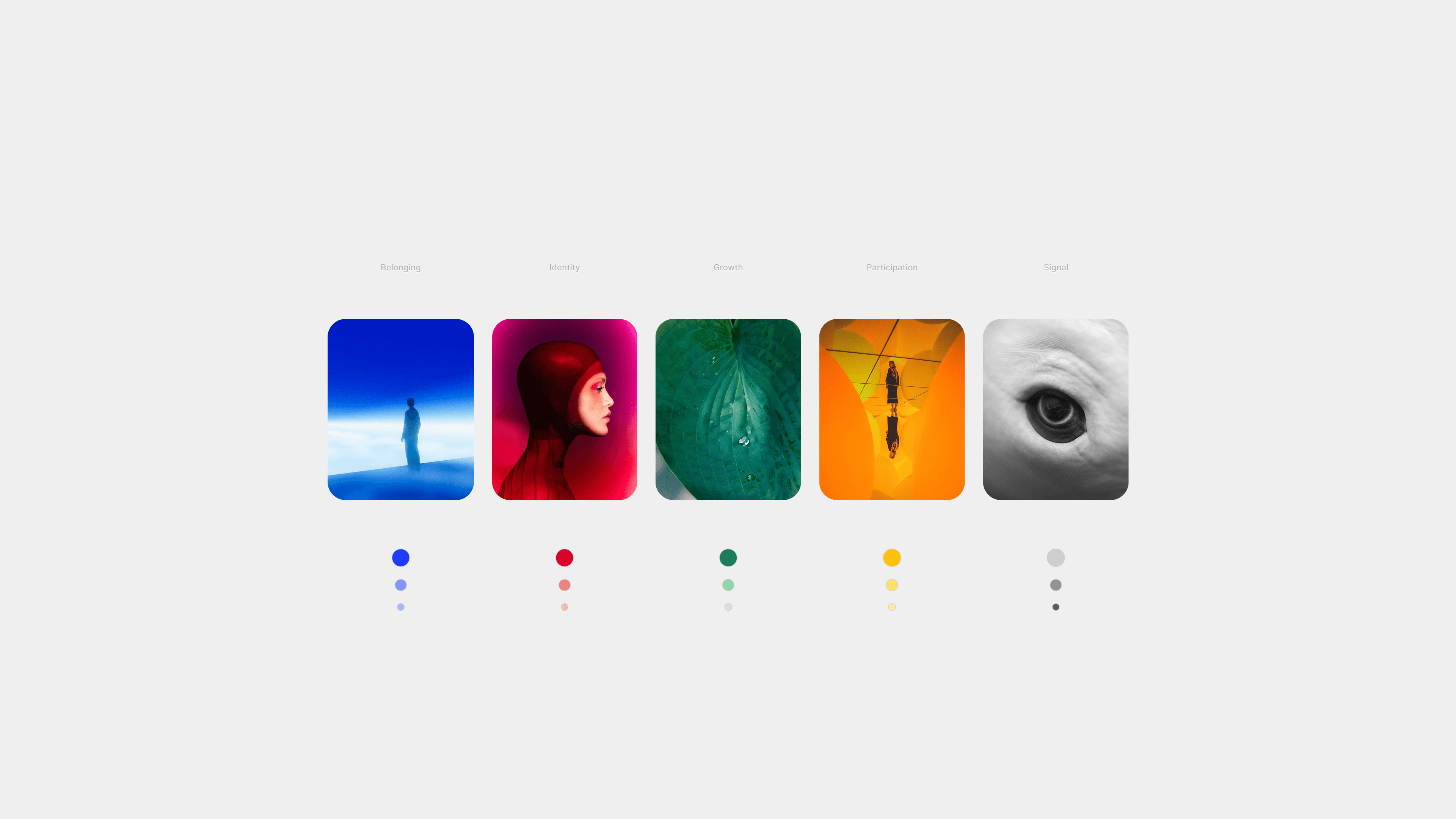 Sondr — 8 | Kundo Studio